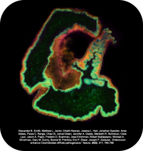 Microbial Interactions and Mechanisms of Infectious Pathogens ...